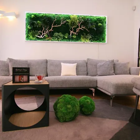 Bed & Breakfast Experience Design Bed&show 2*